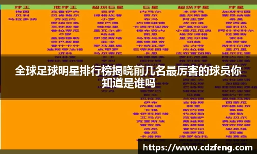 全球足球明星排行榜揭晓前几名最厉害的球员你知道是谁吗